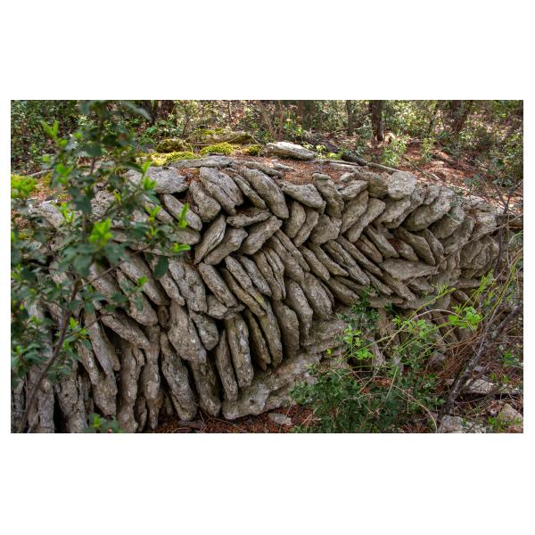 PHOTO84, CLUB, 84 , LUBERON